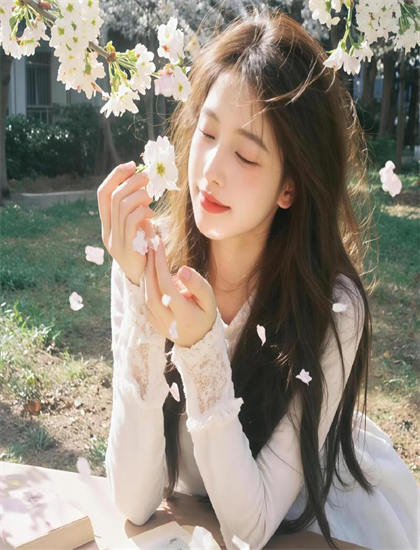 独家剖析：《彩虹仙子之童话仙子节》的社会意义与现实影响——传统与现代的对话